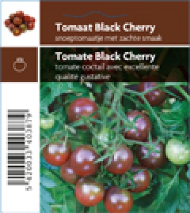 Tomaat Black Cherry F1 (tray 12 pot)